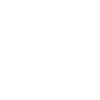 Wild Hearts & Halos